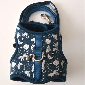 Kitten Harness/Leash Combo